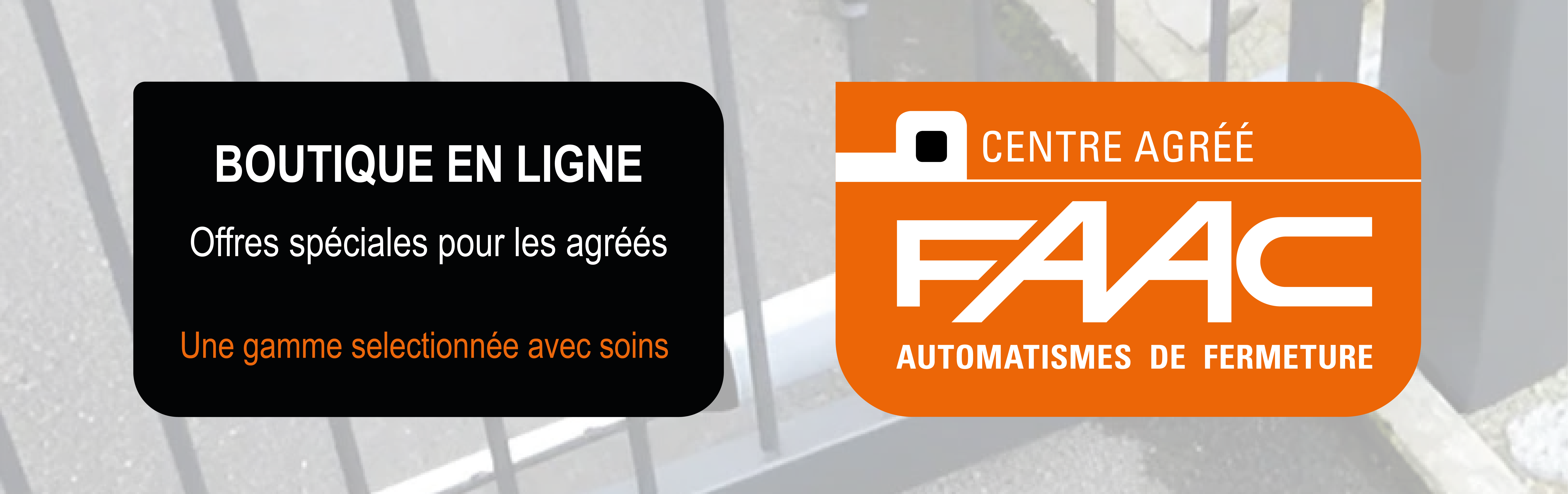 FAAC 1